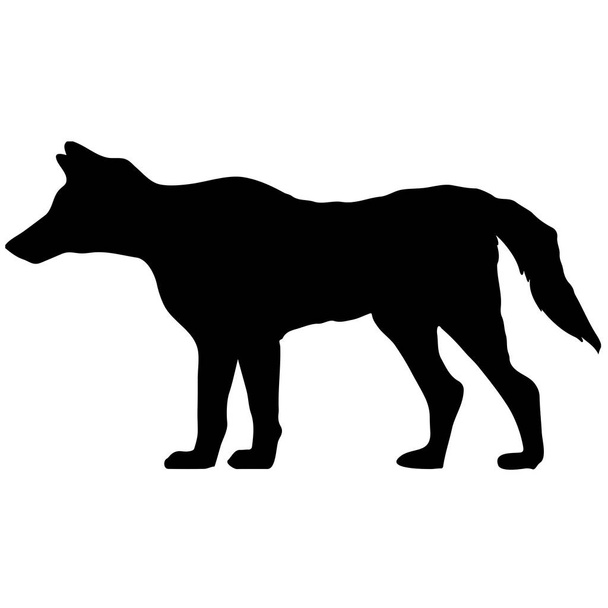 чорно-білий векторний силует вовка. Ілюстрація тварин
 - Вектор, зображення