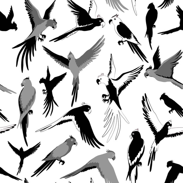 Seamless pattern with parrot of jungle. Black and white - Vektor, kép
