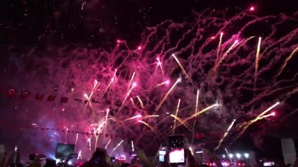 Mensen kijken naar een vuurwerk show bij nacht en ze aan het opnemen bent het met hun smartphones. - Video