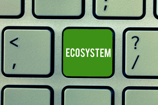 Conceptual hand writing showing Ecosystem. Business photo showcasing biological community of interacting organisms and environment Keyboard Intention to create computer message keypad idea. - Photo, Image