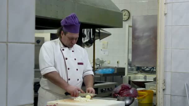 chef-kok bereiden van voedsel - Video