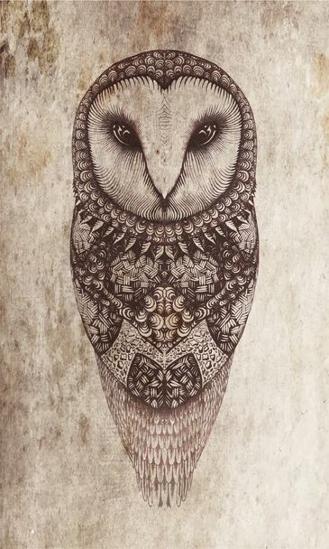 Owl on a gray background - Vector, Image