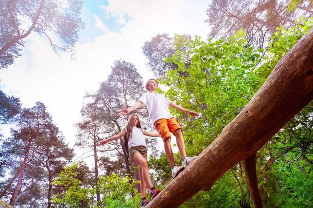 View from bellow of a boy and girl walking over big log high in the air holding balance with hands - Foto, afbeelding