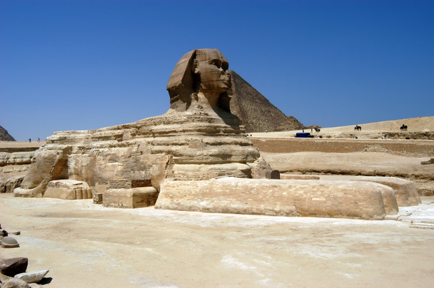 Grande sfinge al Cairo
 - Foto, immagini