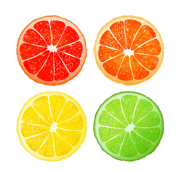 Цитрусові фрукти, векторні дизайн - Вектор, зображення