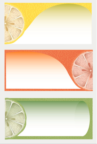 Citrus background, vector design - Vector, Image