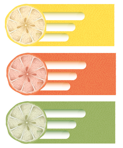Citrus background, vector design - Vector, Image