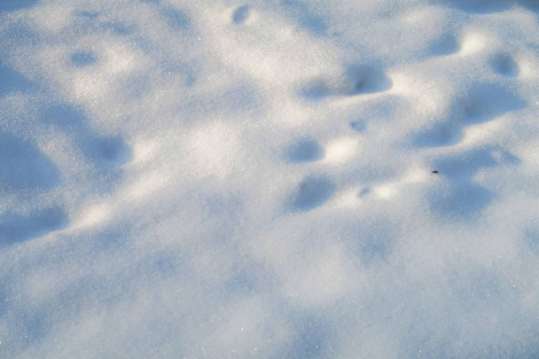 neve na terra fundo de inverno
 - Foto, Imagem