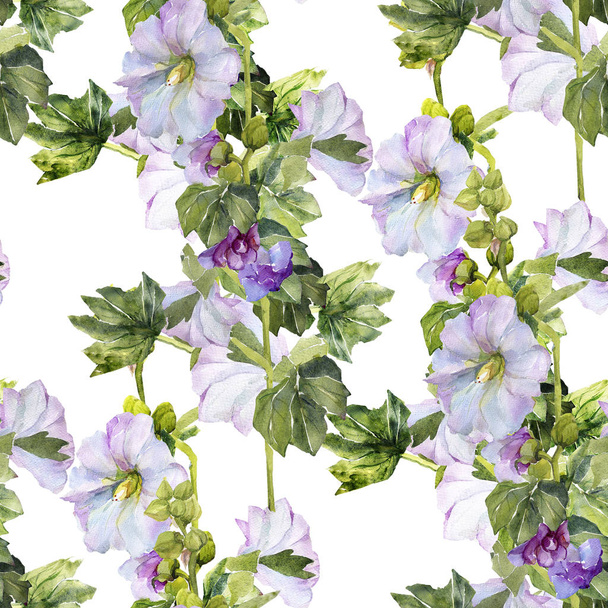 アオイ科の植物の水彩画。シームレス パターン - 写真・画像
