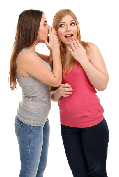 Two girl friends gossip isolated on white - Zdjęcie, obraz