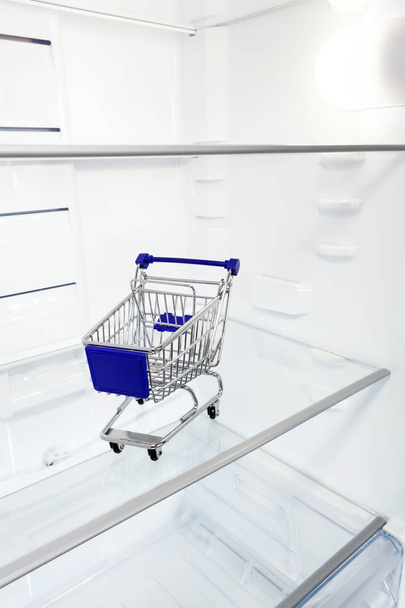 malý nákupní košík v lednici - Fotografie, Obrázek