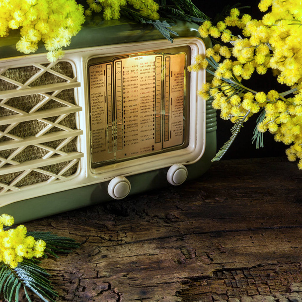 régi rádió egy ágacska mimosa - Fotó, kép