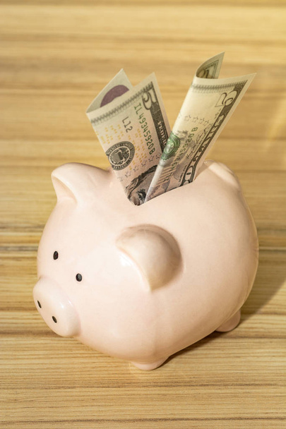 Piggy bank with five dollar  - Фото, зображення