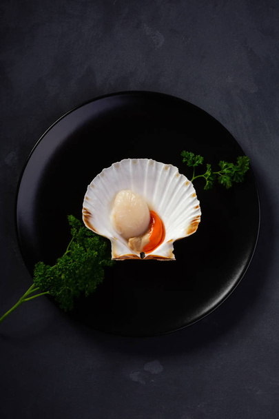 Fresh scallops in the shell top view. Beautiful image of seafood in a low key. - Фото, зображення