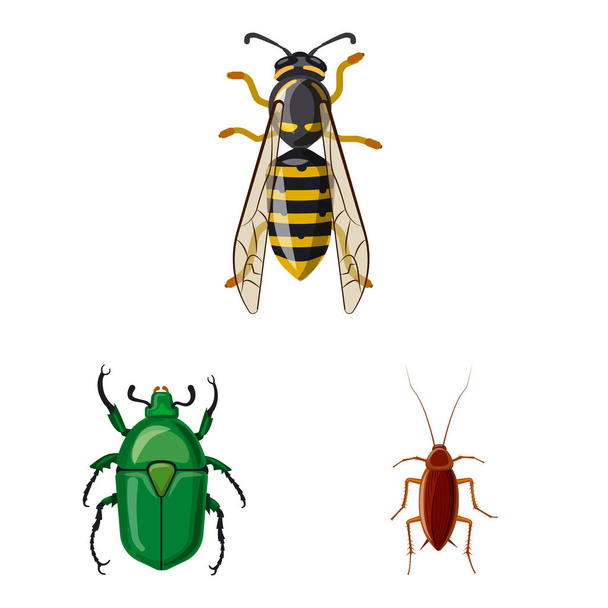 Hyönteisten ja kärpästen logon eristetty kohde. Hyönteisten ja alkuaineiden vektorien havainnollistaminen
. - Vektori, kuva
