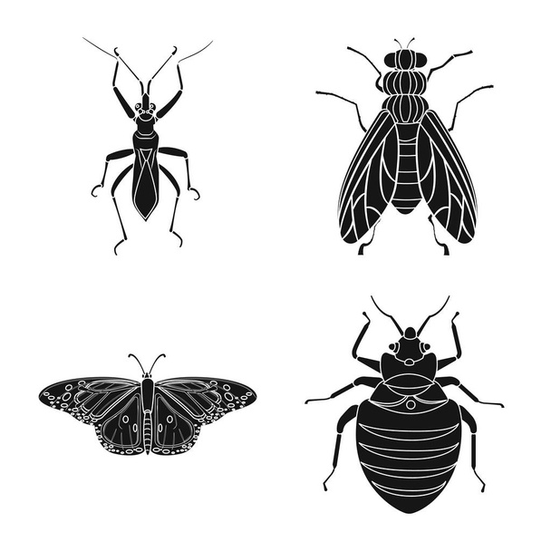 Na białym tle obiekt owad i mucha znak. Zbiór owadów i elementu symbol giełdowy dla sieci web. - Wektor, obraz