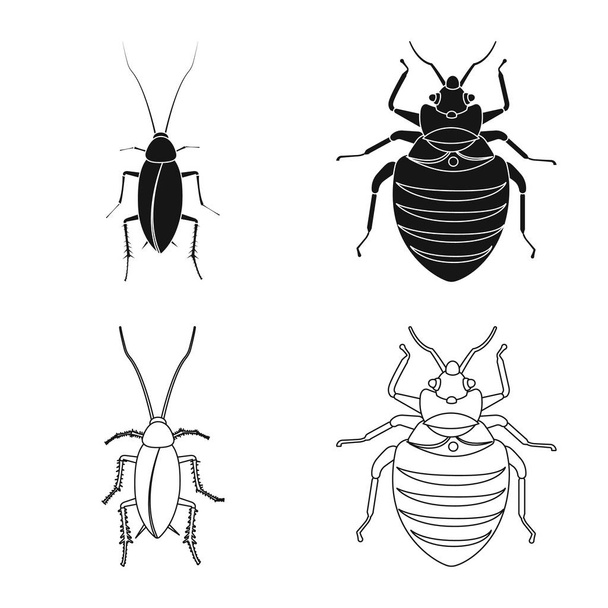Böcek ve sinek logo vektör Illustration. Böcek ve öğe vektör simgesini hissenin topluluğu. - Vektör, Görsel
