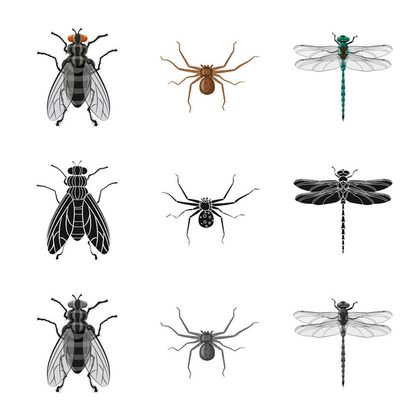 Objeto isolado de ícone de inseto e mosca. Coleta de inseto e elemento símbolo de estoque para web
. - Vetor, Imagem