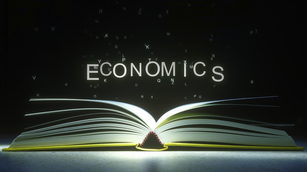 Γράμματα πετούν έξω από το ανοιχτό βιβλίο σελίδες να σχηματίσουν οικονομικά κείμενο. 3D animation - Πλάνα, βίντεο