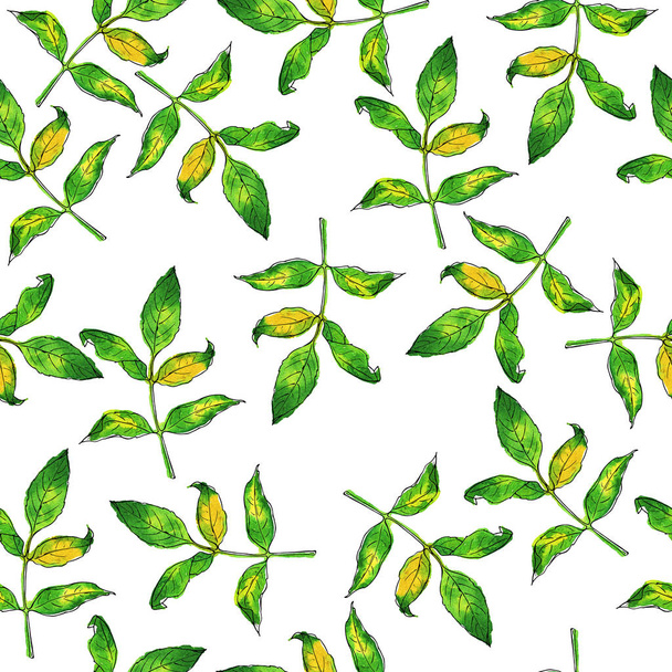 Seamless pattern with green and yellow spot leaves on white background. Hand drawn watercolor and ink illustration. - Zdjęcie, obraz