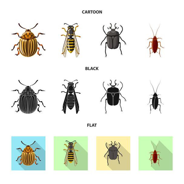 Izolovaný objekt ikony hmyzu a létat. Sbírku hmyzu a prvek vektorové ilustrace. - Vektor, obrázek