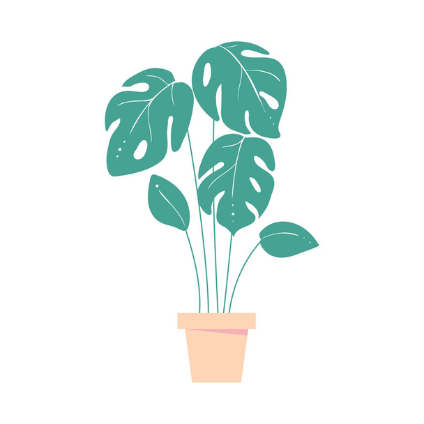 Монстра уходит. Домашнее тропическое растение в горшочке. Экзотический лист пальмы. Изолированная векторная иллюстрация
 - Вектор,изображение