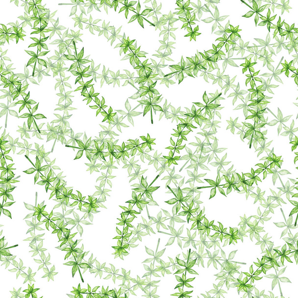 Seamless pattern with spring elegance green branches on white background. Hand drawn watercolor illustration. - Фото, изображение
