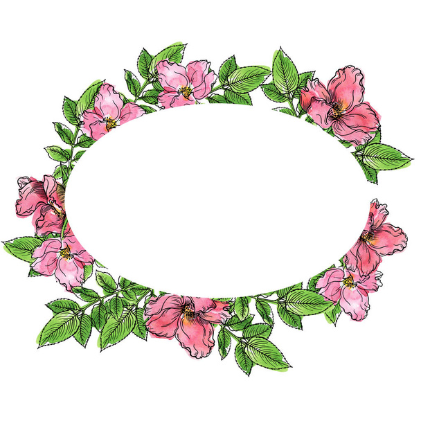 Wild roses and leaves floral frame isolated on white background. Hand drawn watercolor and ink illustration. - Photo, Image