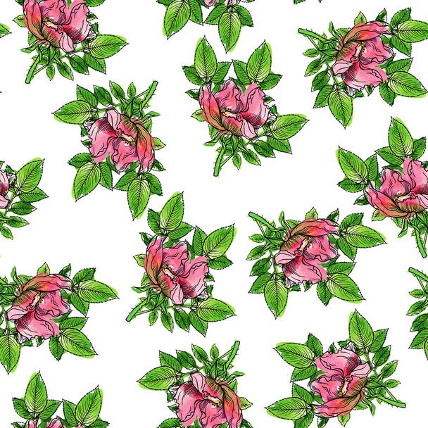 Seamless pattern with pink wild rose flowers and green leaves on white background. Hand drawn watercolor and ink illustration. - Foto, Bild