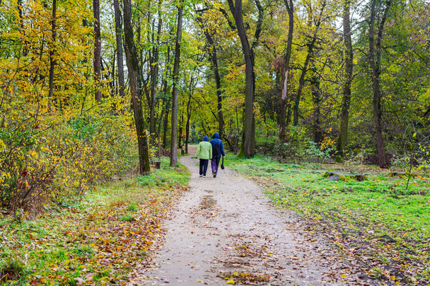 Beau paysage d'automne. Couple sénior actif marchant dans la forêt d'automne
 - Photo, image