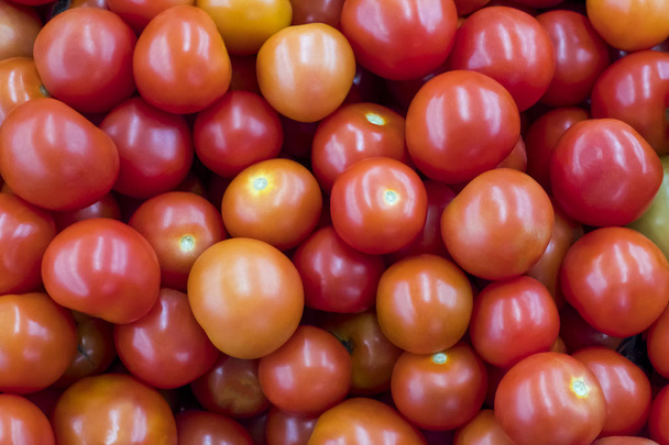 pomidory są warzywa ekologiczne jest bogaty w witaminy i minerały używane w kuchni sprawiają, że kolorowe i smaczne. - Zdjęcie, obraz