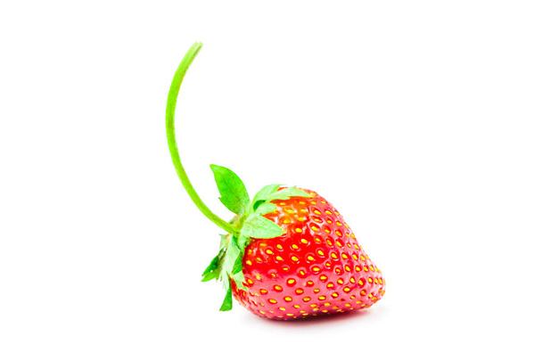 Fragola (Fragaria x ananassa Duchesne) sono frutti rossi freschi. ricco di vitamine hanno un sapore aspro e dolce su sfondo bianco isolato e percorso di ritaglio
 - Foto, immagini