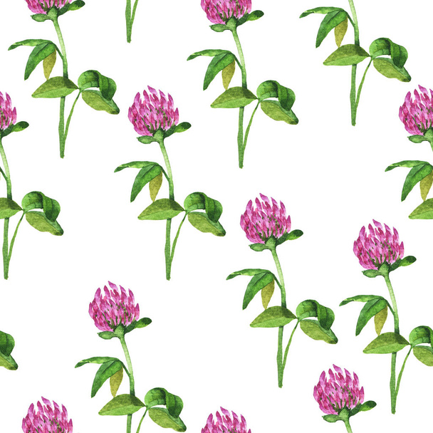 Seamless pattern with lilac clover flowers on white background. Hand drawn watercolor illustration. - Фото, зображення