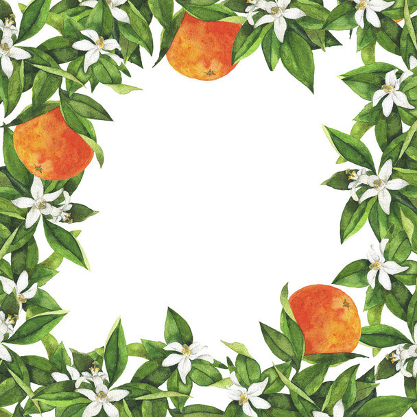 Fresh orange tree branches, fruits, leaves and flowers border. Hand drawnw atercolor illustration. - Foto, Bild