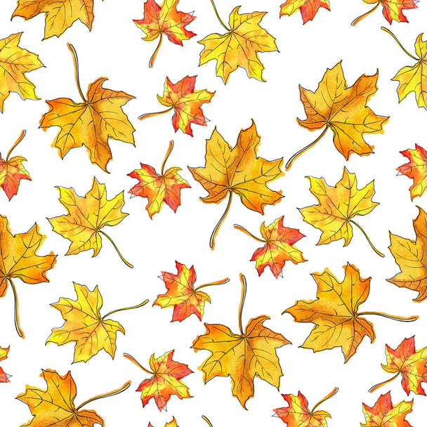 Seamless pattern with autumn maple leaves on white background. Hand drawn watercolor and ink illustration.  - Foto, Imagem