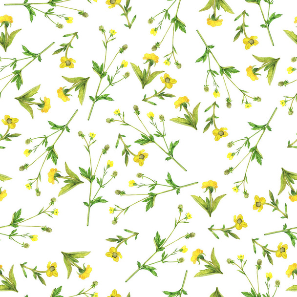 Seamless pattern with elegance yellow flowers on white background. Hand drawn watercolor illustration.  - Φωτογραφία, εικόνα
