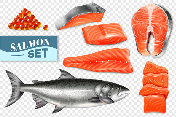 Realistic Salmon Set - Vector, Image