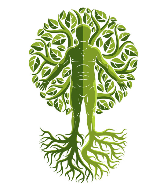 Güçlü kökleri olan ve yaprakları olan doğal yeşil ağaç koronası kullanılarak oluşturulan ağacın devamı olarak insanoğlunun vektör illüstrasyonudur. Greenman, putperest tanrı metaforu. - Vektör, Görsel