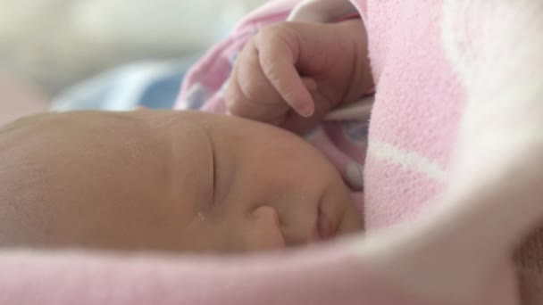 Newborn baby girl asleep wrapped in a blanket - Footage, Video