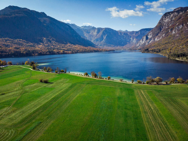 schönes blaues Wasser und grüne Weiden, Bohijn See, Luftaufnahme, Slowenien. - Foto, Bild