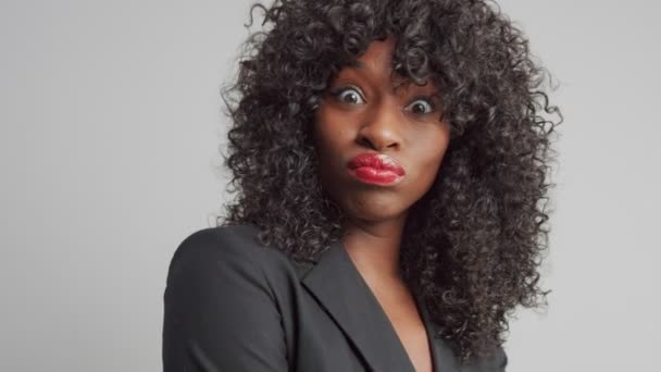 schwarze Mischlingshündin im Büro-Look mit lockigem schwarzen Haar - Filmmaterial, Video