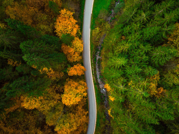 Vista de arriba hacia abajo del dron en el sinuoso camino a través del bosque de otoño
. - Foto, imagen