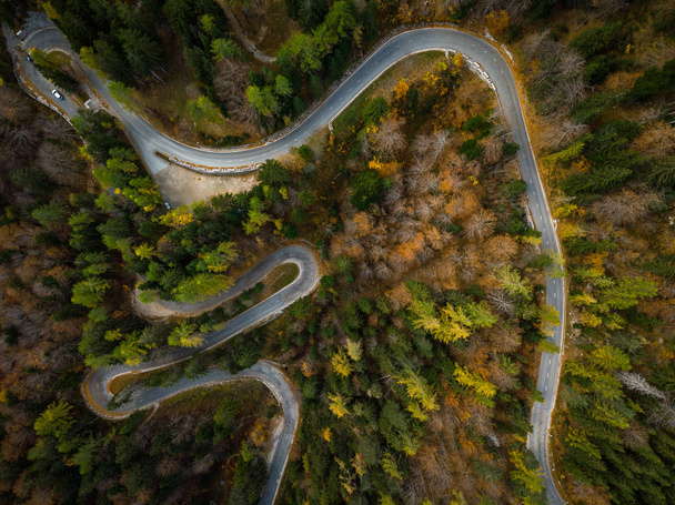 Bochtige weg via atumn bos, luchtfoto top-down weergave. - Foto, afbeelding