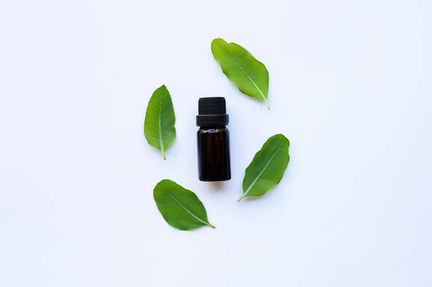 Eukalyptus-Aromatherapie ätherische Öle in der Flasche mit eukalyptusgrünen Blättern - Foto, Bild