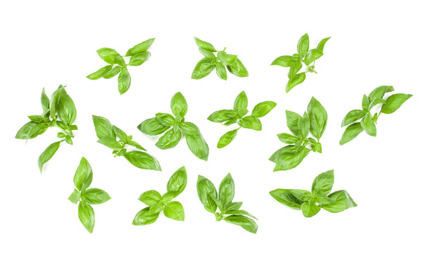 Sweet Genovese basil leaves background arrangement isolated on white. Top view. - Zdjęcie, obraz