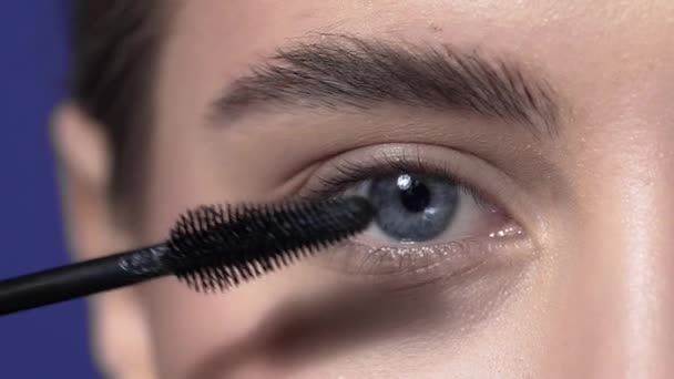Close up van de wimpers oog make-up, vrouw met avond make-up wimpers oog make-up, make-up artiest, mooie dames ogen verven - Video
