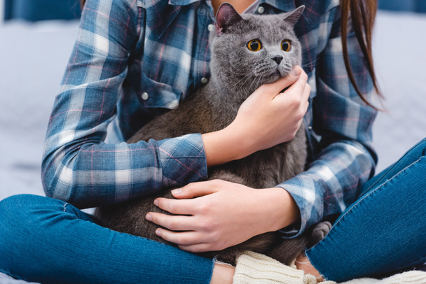 cropped shot of young woman sitting on bed and hugging adorable grey cat  - 写真・画像