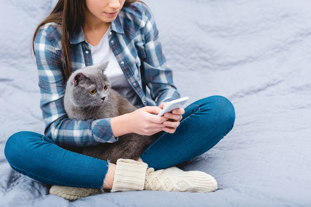 bijgesneden schot van vrouw met behulp van smartphone zittend op bed met schattige Brits korthaar kat  - Foto, afbeelding