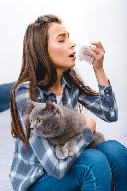 young woman with allergy holding facial tissue and british shorthair cat   - Photo, Image