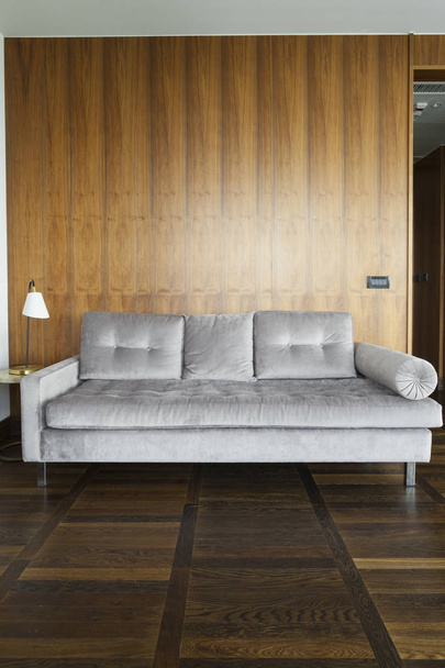 canapé-lit dans le salon de luxe
 - Photo, image